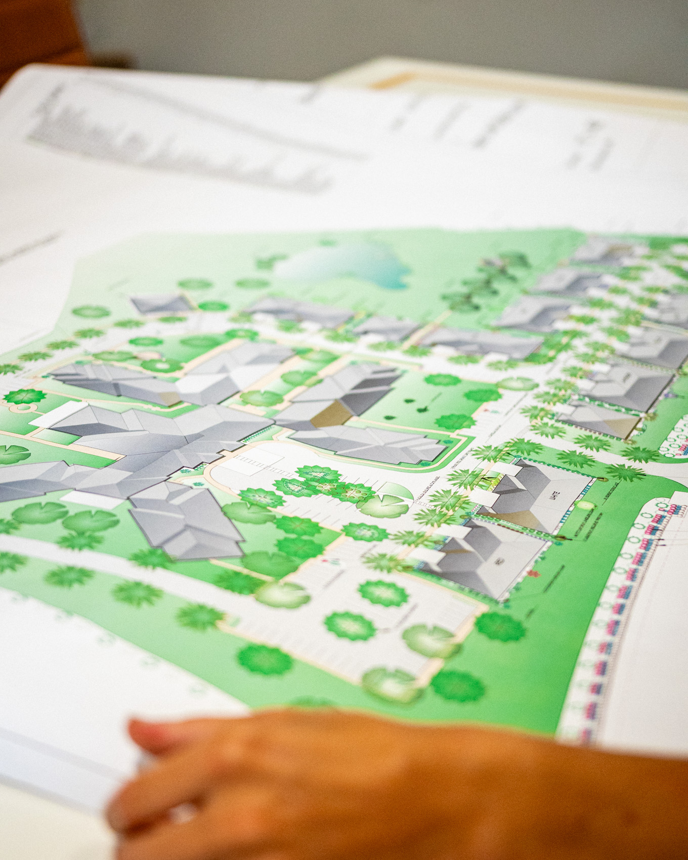 Colored landscape plan for a whole property, drawn in house