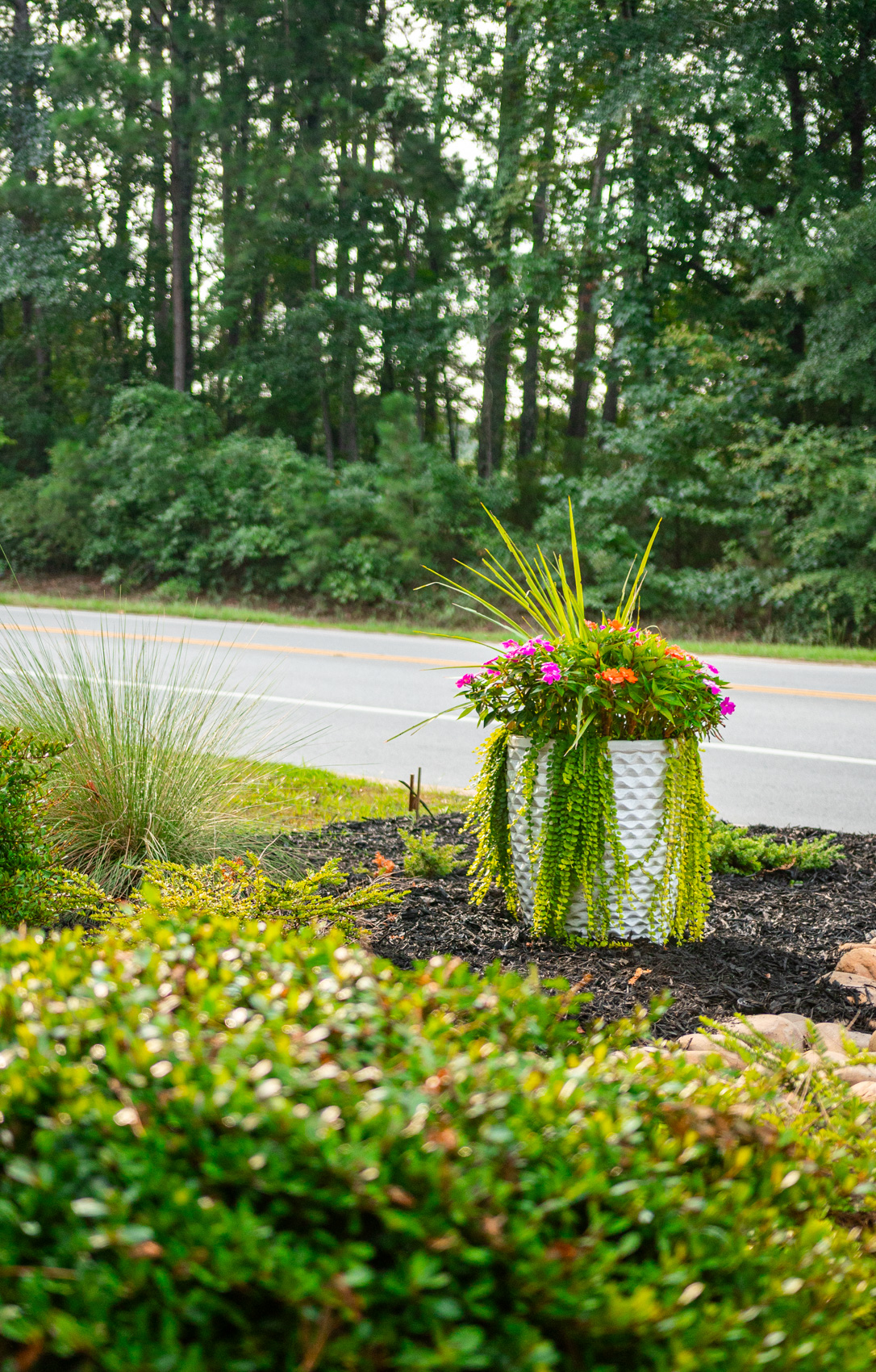 Planter of seasonal flowers and trailing greens at a roadside entry