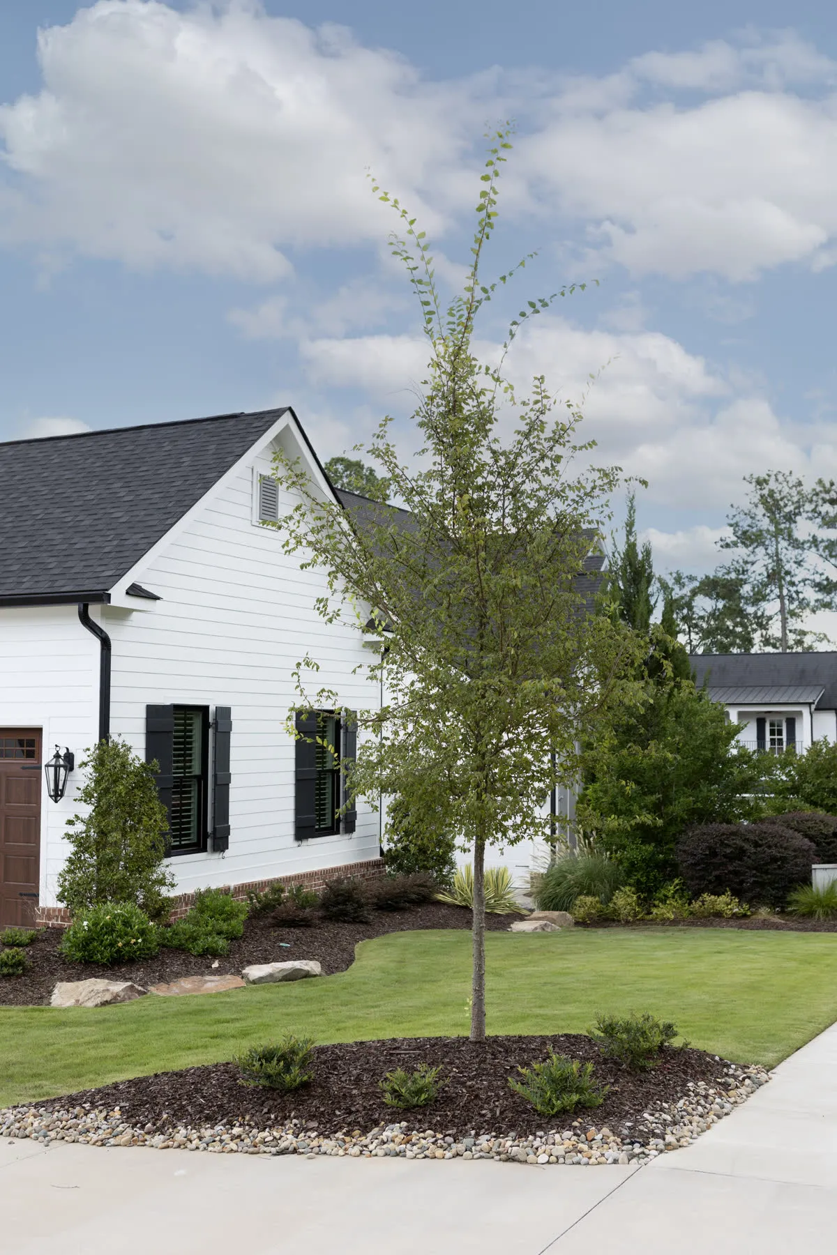 White home with a young specimen tree, fresh planting beds and a mown front lawn