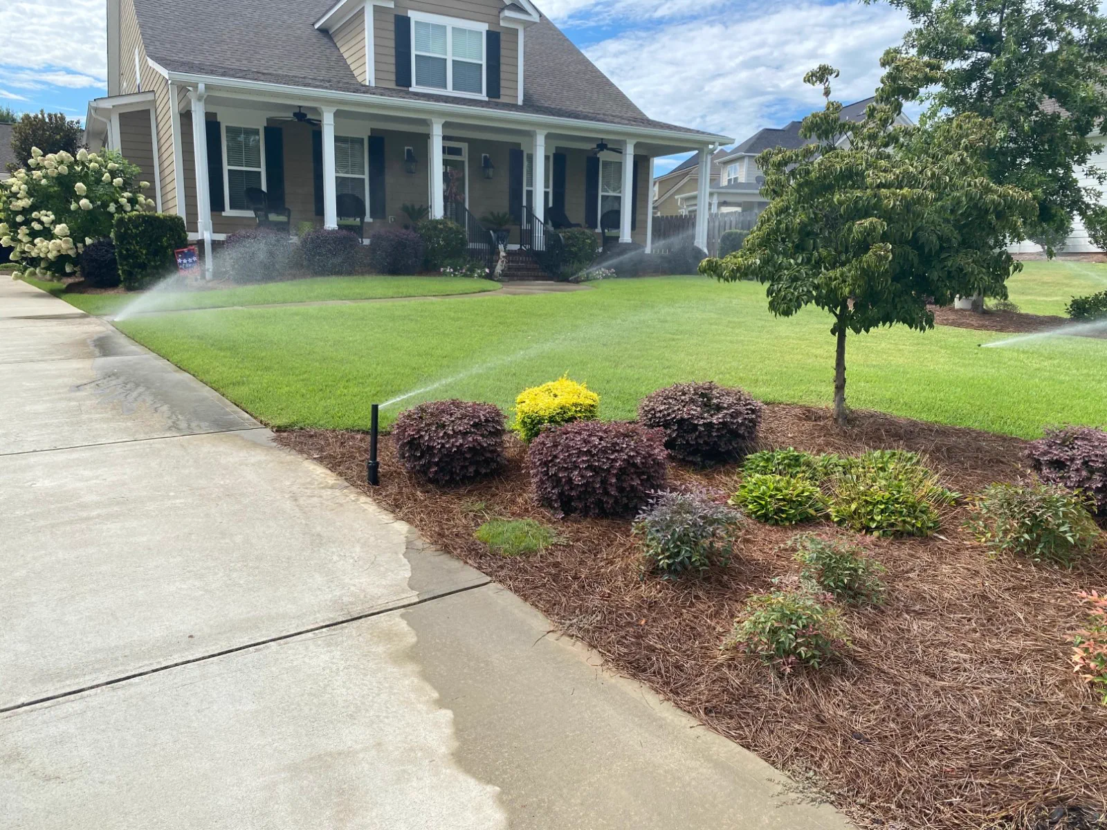 Front yard with new planting beds, fresh sod and a concrete walk